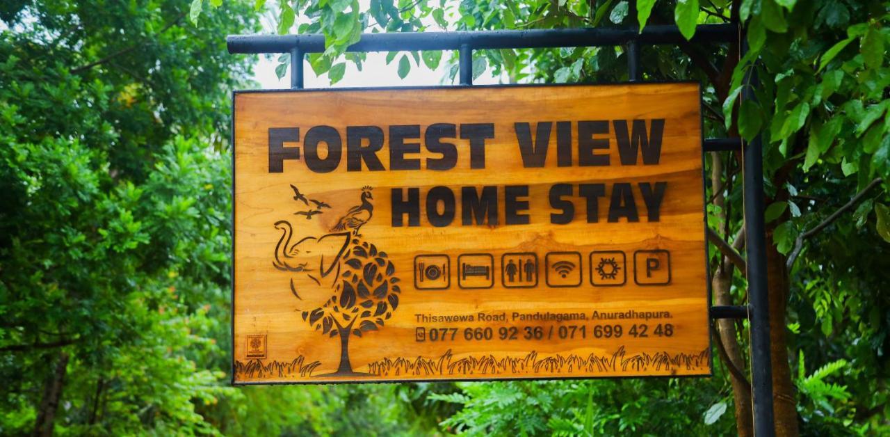 Forest View Home Stay Holambra Exterior foto