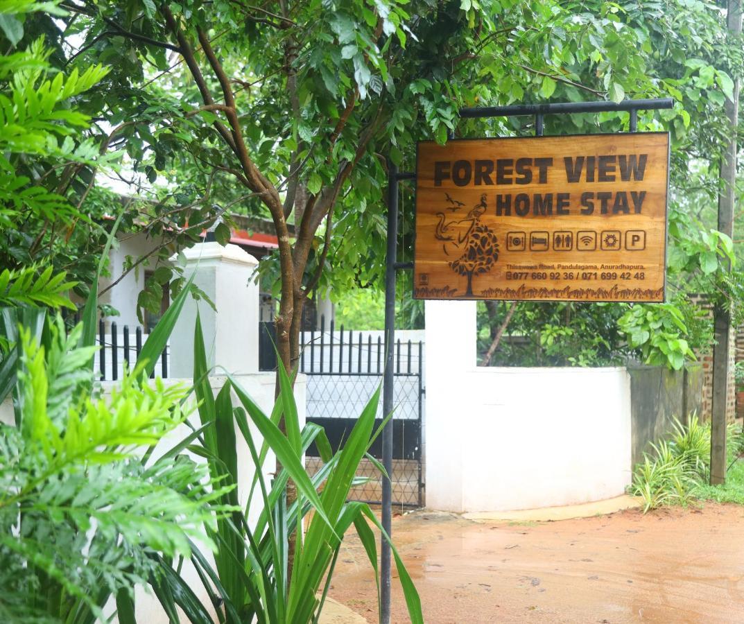 Forest View Home Stay Holambra Exterior foto